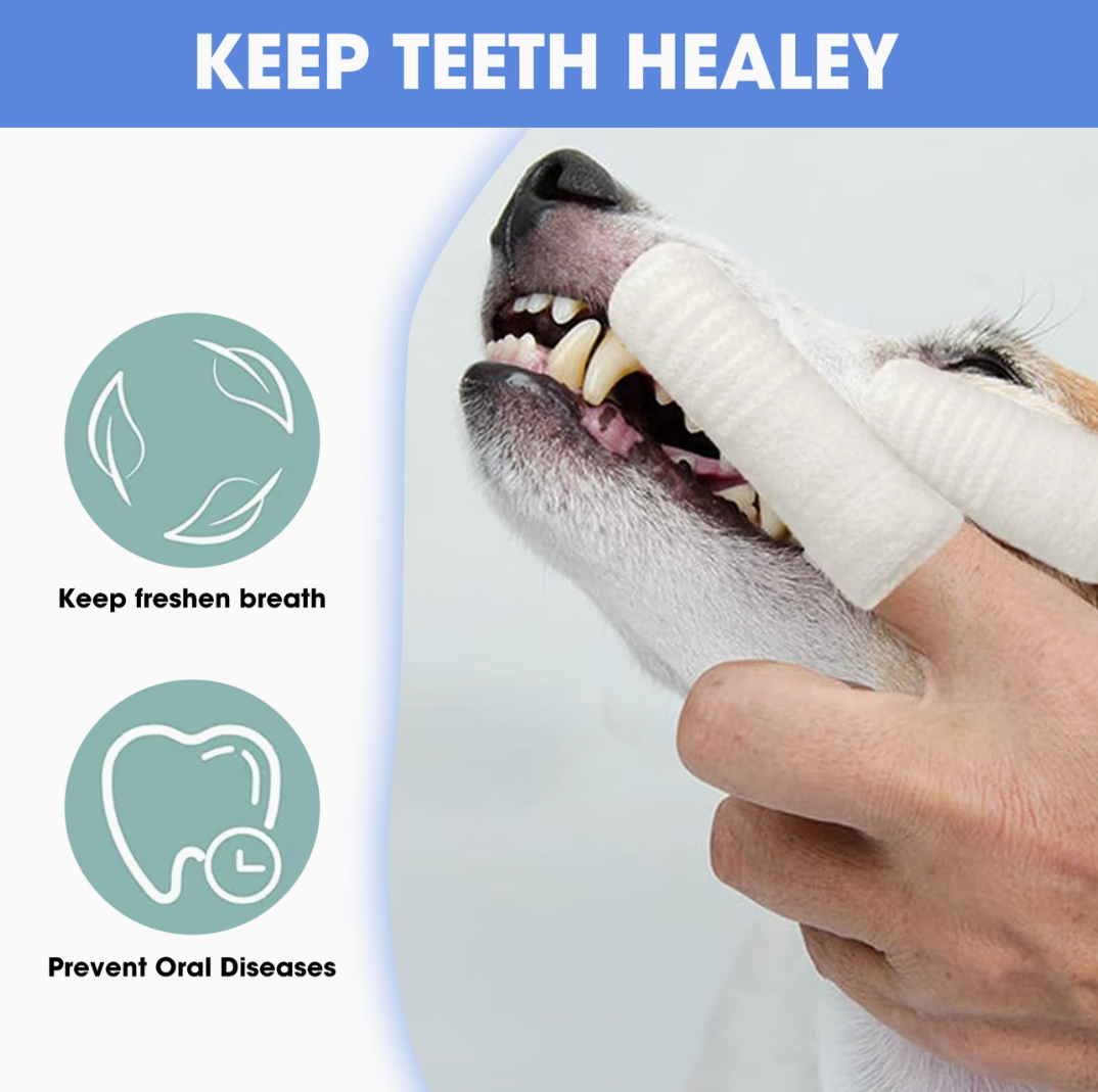 PawSmile 12 pack