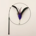 Cat Teaser - Feathers & Bell