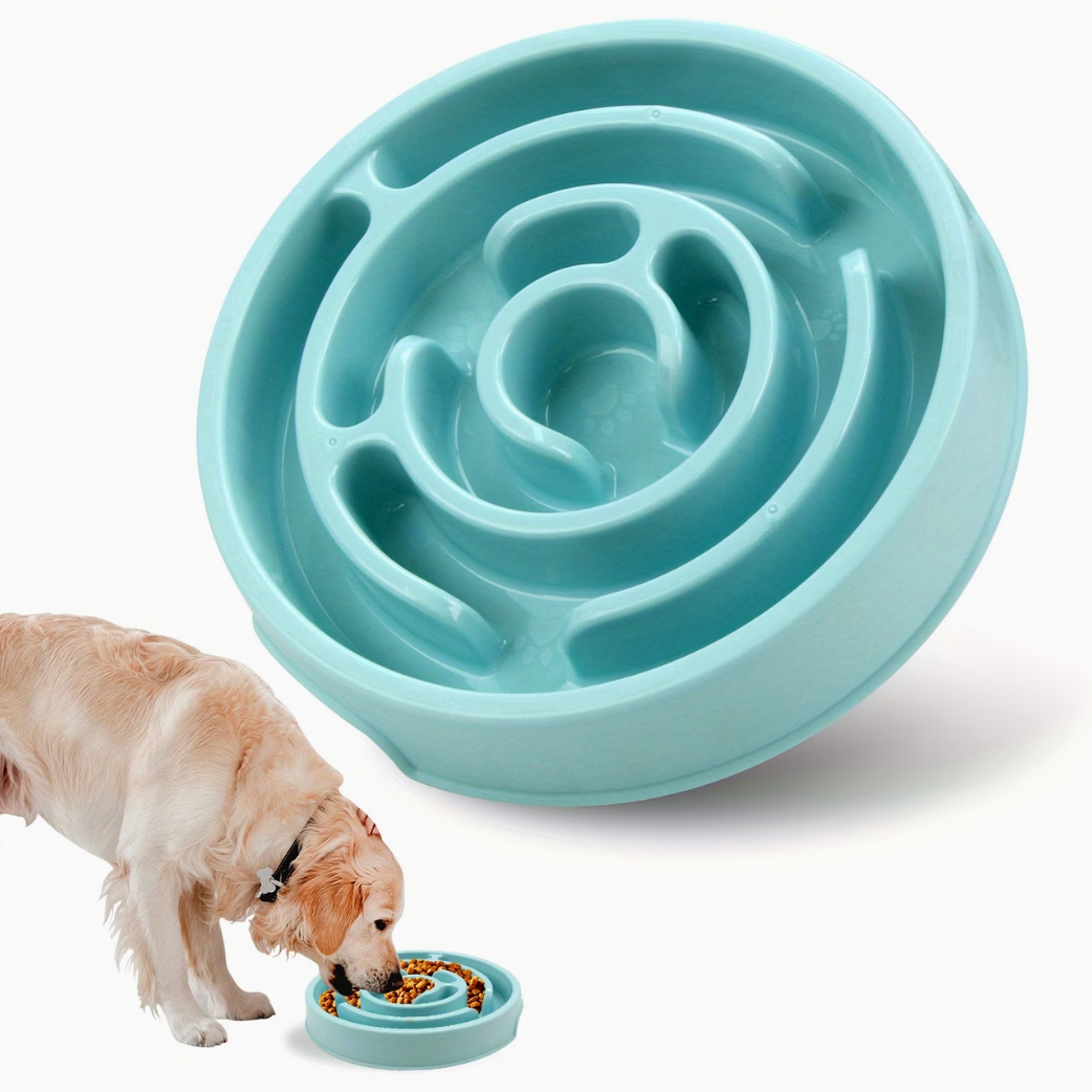 Slow Feeder Bowl