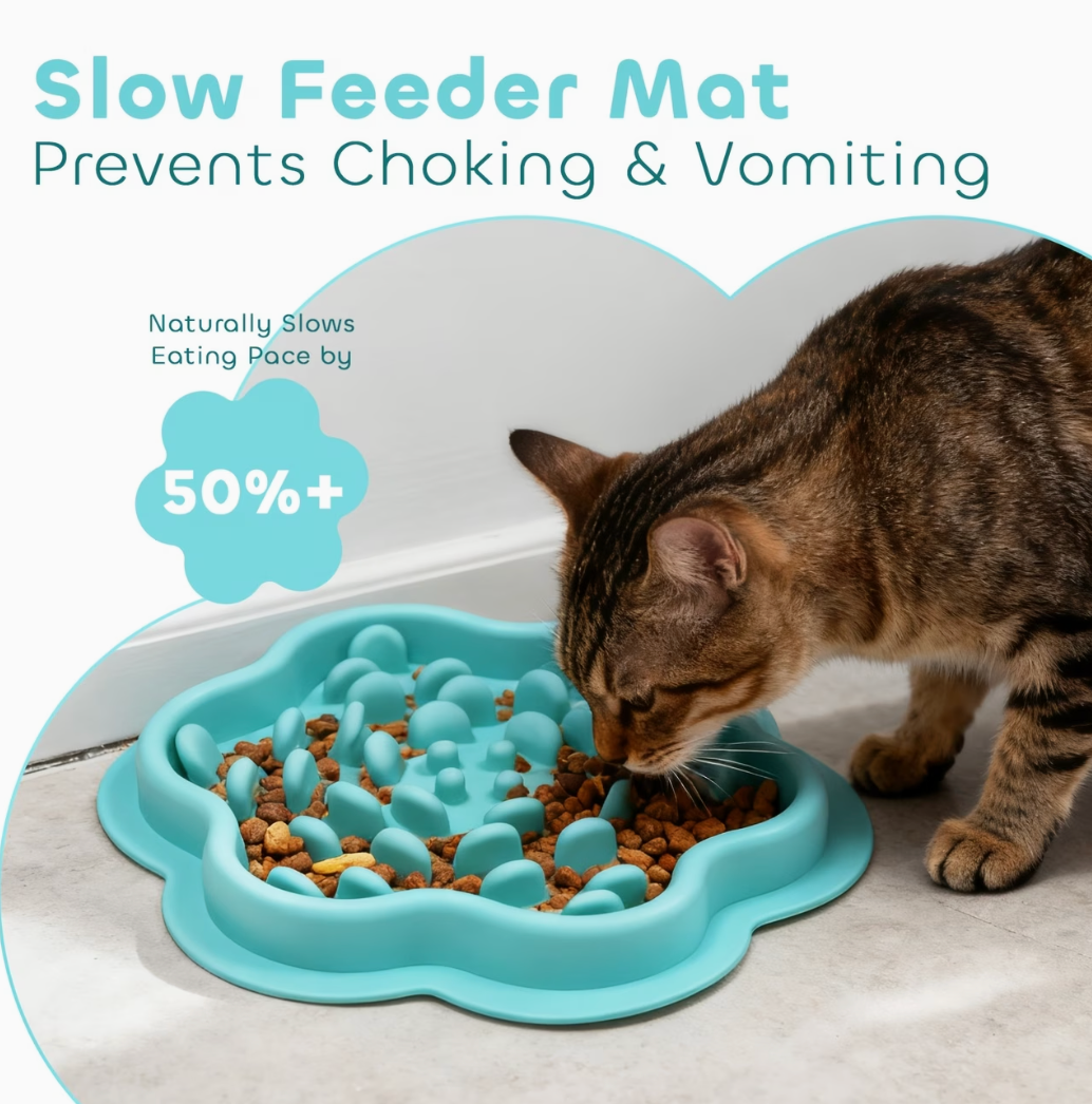 Silicone Feeding Mat