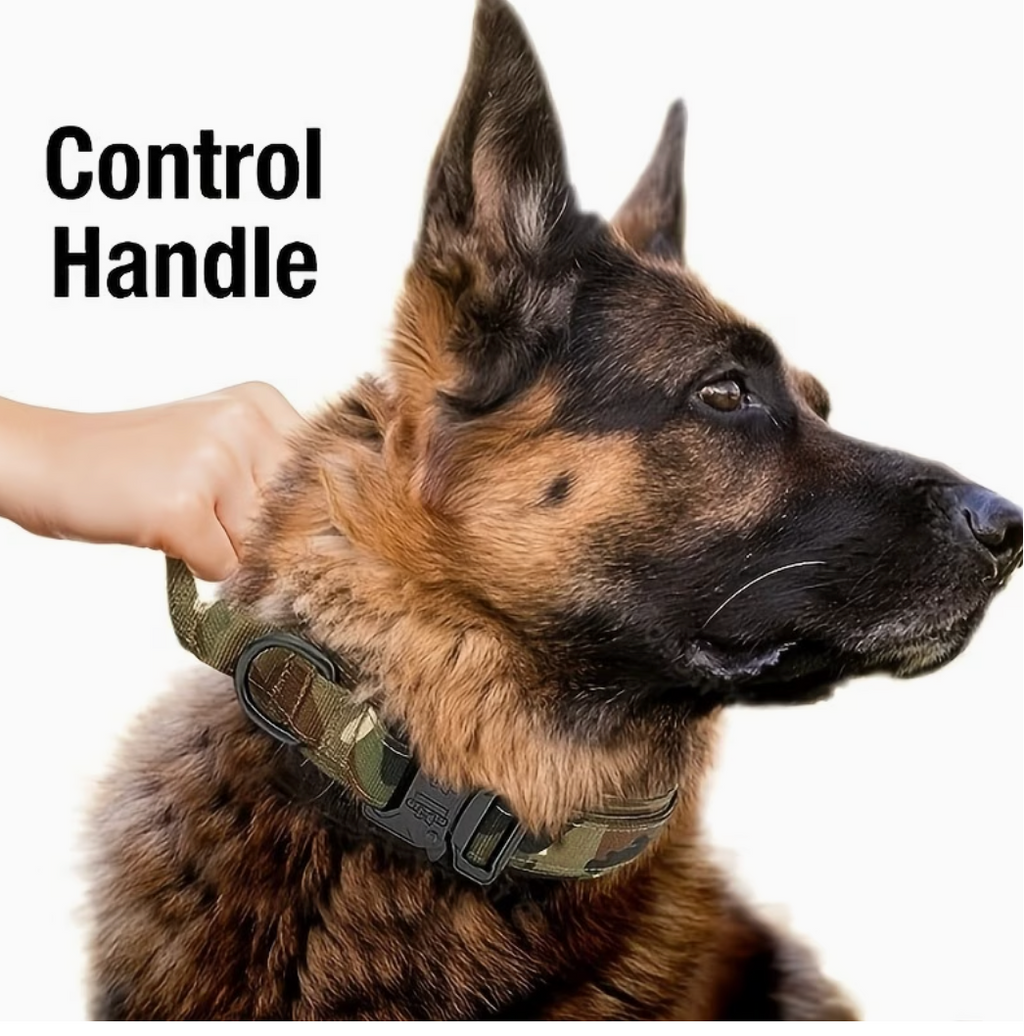 Heavy-Duty Outdoor Gear