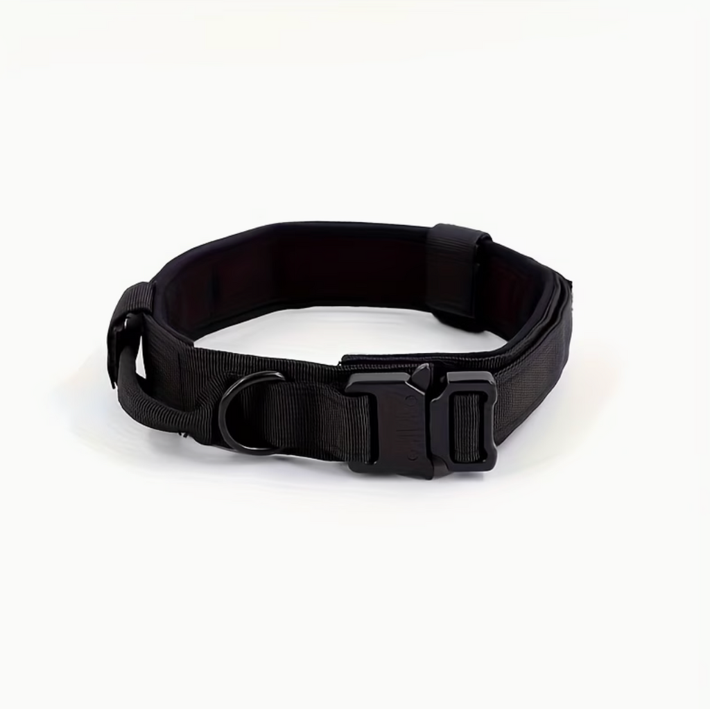 Heavy-Duty Outdoor Gear