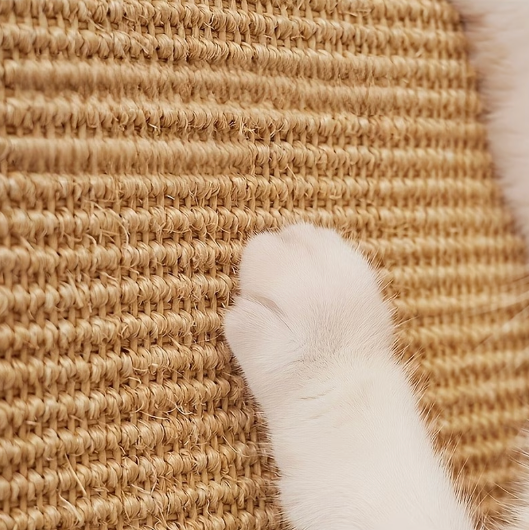 ScratchNest