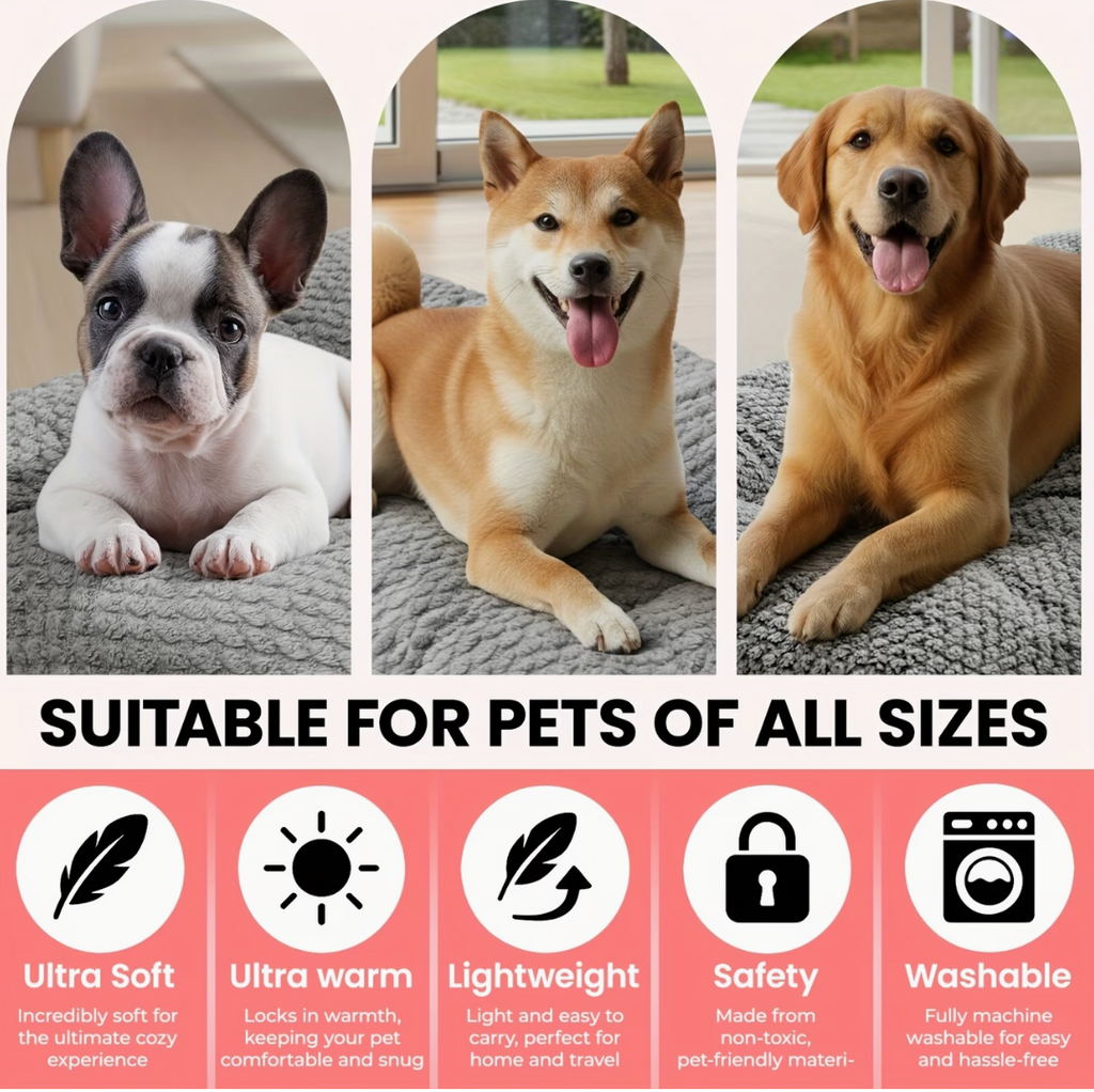 Dog Bed