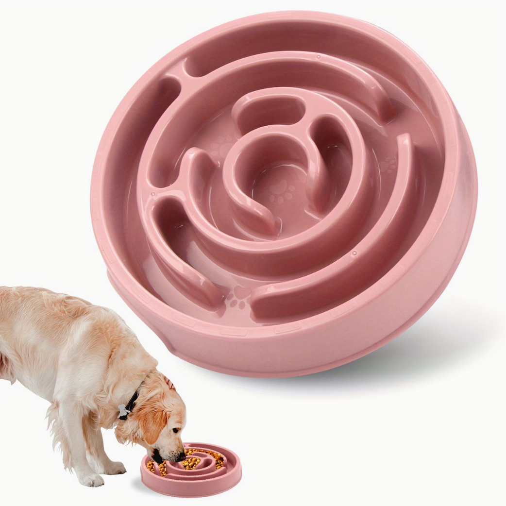 Slow Feeder Bowl